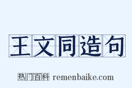 王文同造句是什么意思的图片